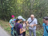 les priroda les priroda