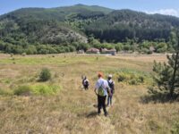 lesk setnja lesk setnja