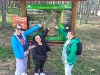 zvezd zlatibor zvezd zlatibor