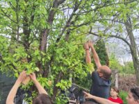 493080048_698042455938060_5484800617653731571_n 493080048_698042455938060_5484800617653731571_n