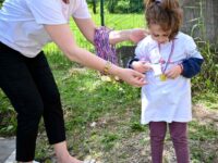 viber_image_2025-05-15_07-45-20-708 viber_image_2025-05-15_07-45-20-708