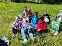 viber_image_2025-06-03_13-06-50-704 viber_image_2025-06-03_13-06-50-704