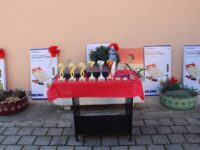 spremni spremni